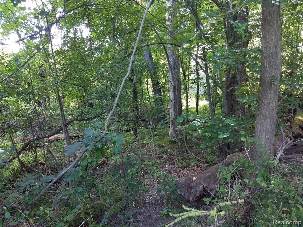 Beardslee Dr, Lake Orion, MI 48362 Trulia