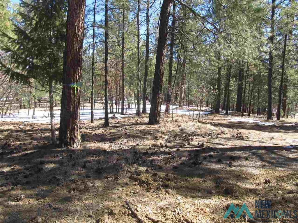 29 Pendaries Village Ln, Rociada, NM 87742 MLS 20211099 Trulia