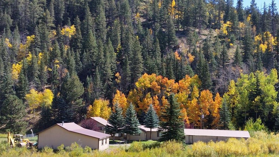 16578 State Highway 96 W, Wetmore, CO 81253 Trulia