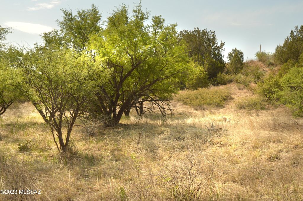 194 Tanglehead Ln #23, Patagonia, AZ 85624