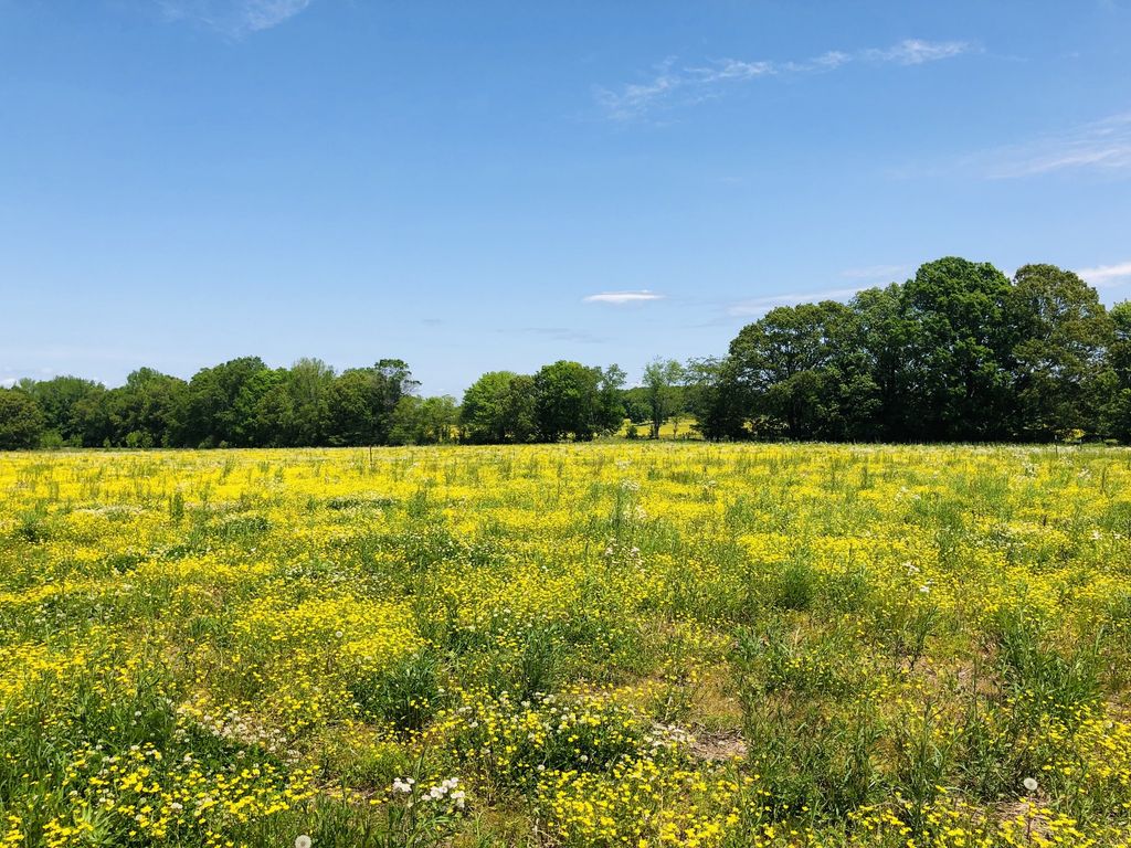 Dugout Rd 15, Summertown, TN 38483 Trulia