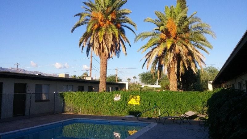 3407 N 2nd Ave #1103, Tucson, AZ 85705