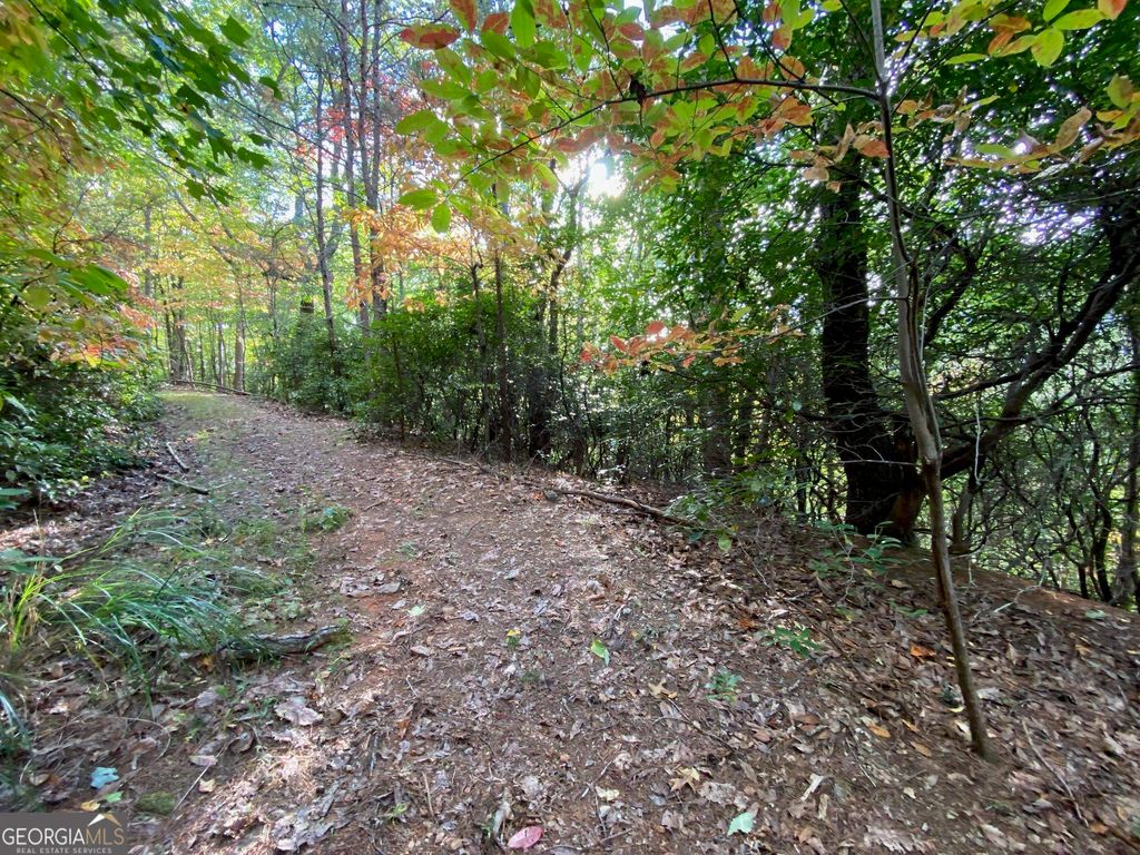 Woodlawn Dr 65A, Cleveland, GA 30528 MLS 20153006 Trulia