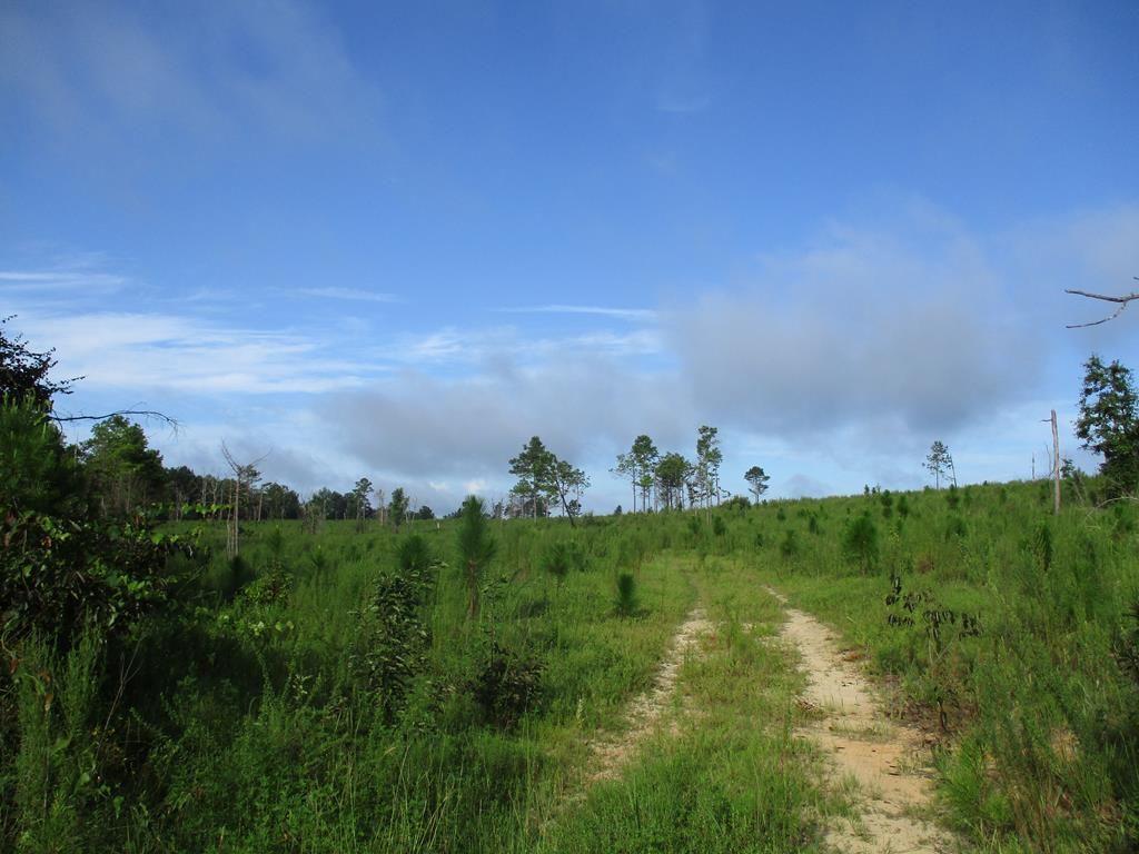 County Road 25, Midway, AL 36053 Trulia