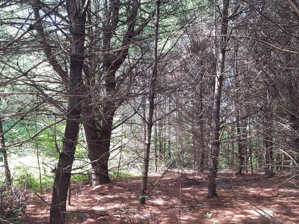 LOT12 Harrison Road Road, Naples, ME 04055 Lot/Land for Sale MLS
