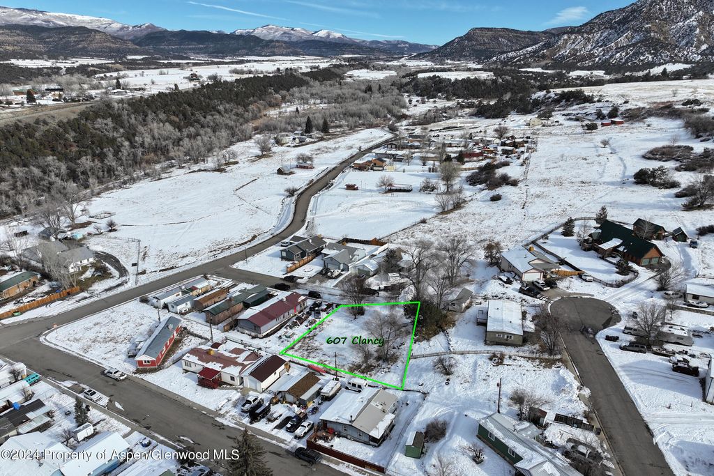 607 Clancy Ave, Collbran, CO 81624