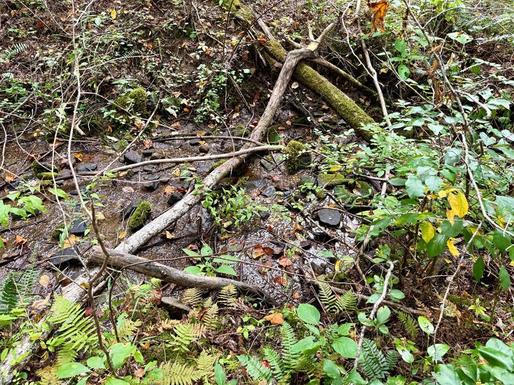 Whispering Rdg, Tuckasegee, NC 28783
