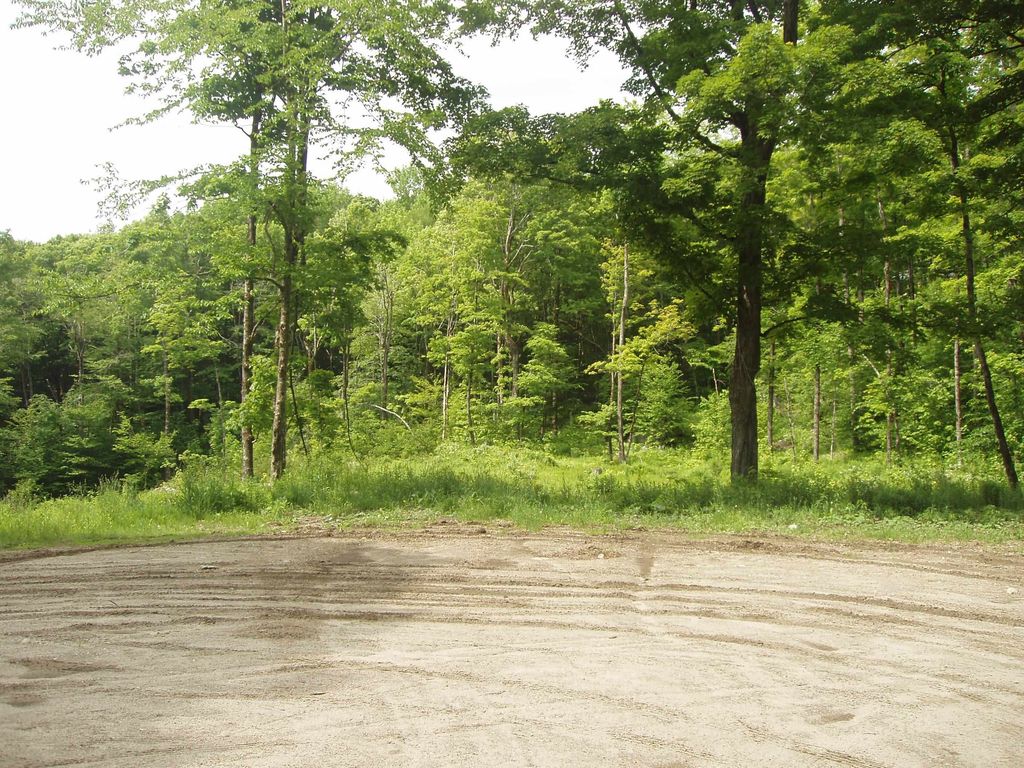Lower Woods and Water Road Lot 9, Bondville, VT 05340