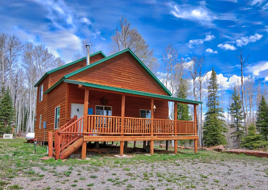 58203 Elk Dr, Montrose, CO 81403