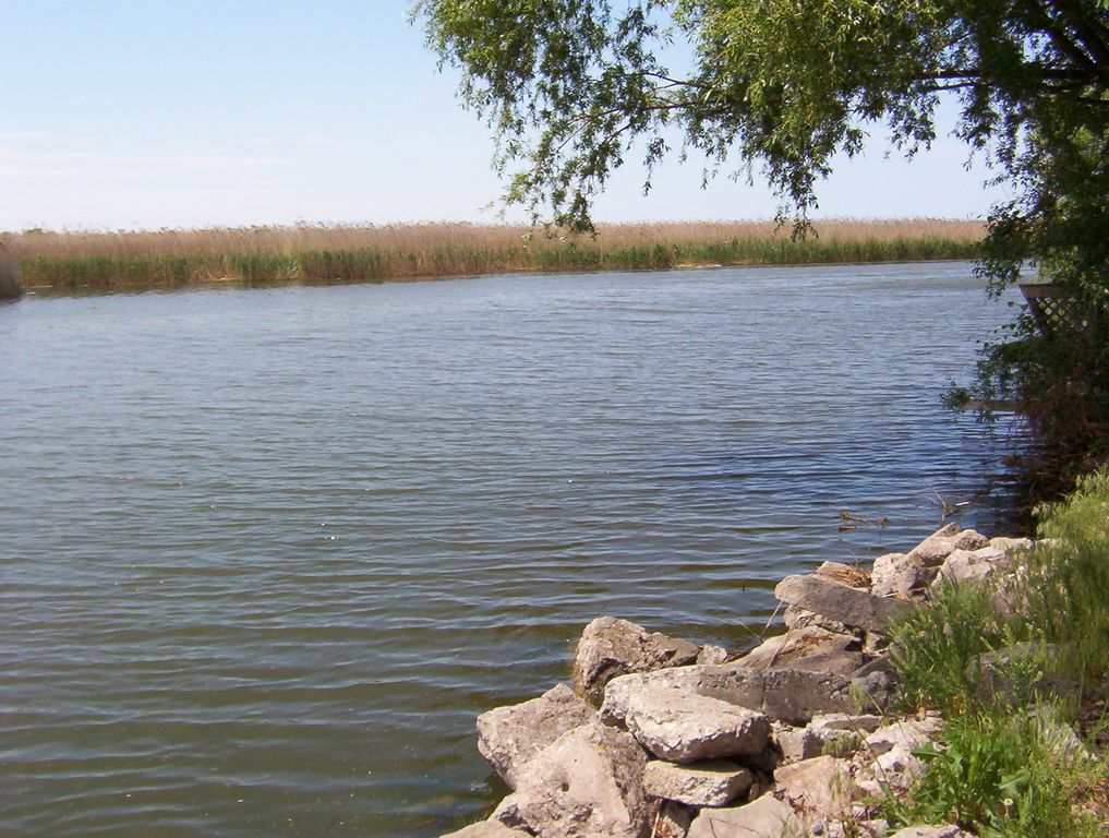 W Manke Dr, Quanicassee, MI 48733 Trulia