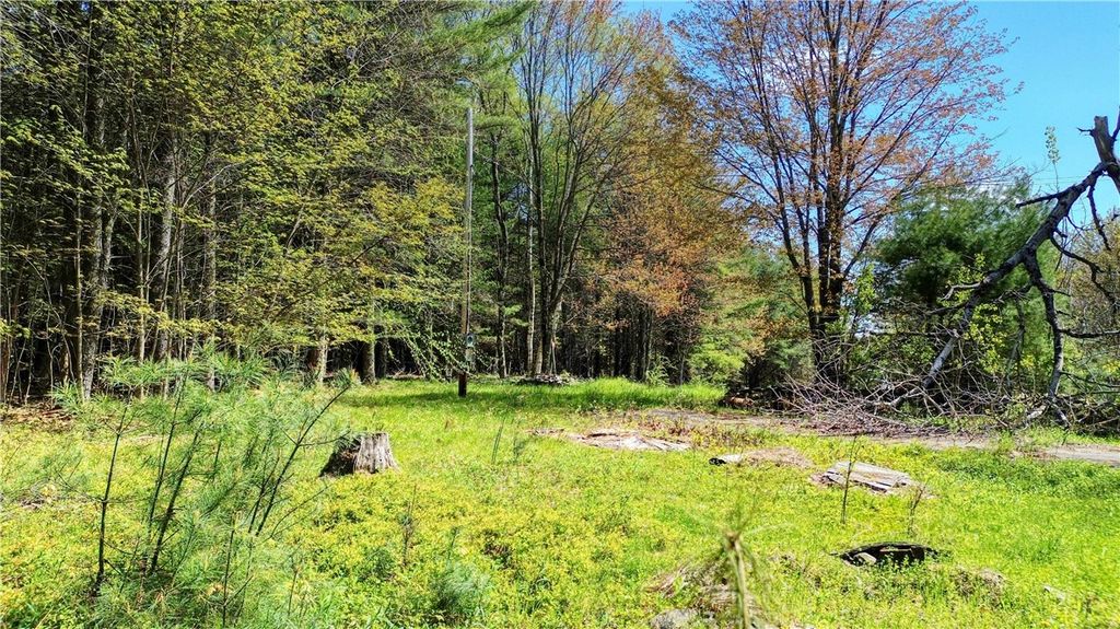 106 Audobon Ln #39, Gilboa, NY 12076