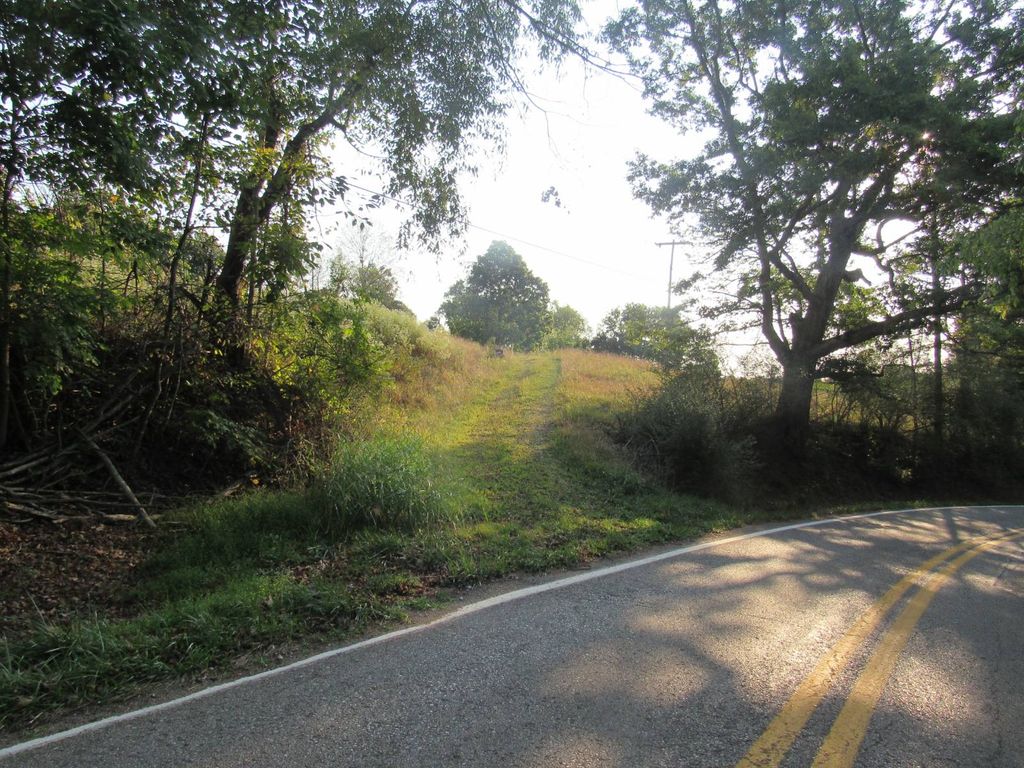 O'Pullman Rd, Ellenboro, WV 26346 Lot/Land for Sale MLS 11343109