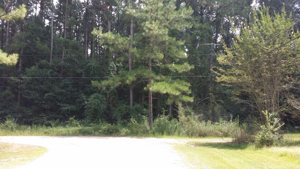 Monica, Albany, LA 70711 Trulia