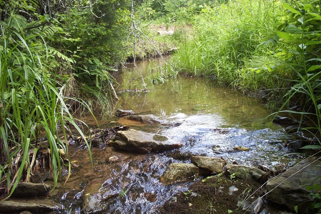 17 Nursery Rd, Laurel Fork, VA 24352 Trulia