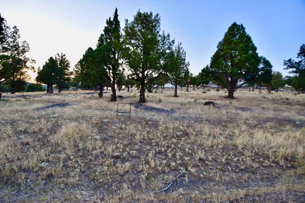 lot 192 lake shastina dr, weed, CA 96094 MLS 20230804 Trulia