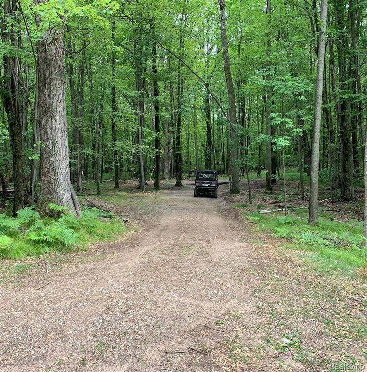 5353 W Fawn Ter, Farwell, MI 48622 MLS 20230047244 Trulia