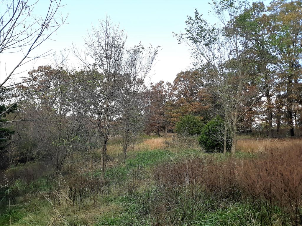 8659 State Highway 95, Theodosia, MO 65761 Trulia