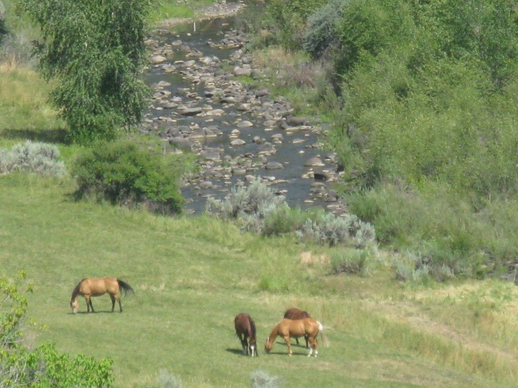 58689 Buzzard Creek Rd, Collbran, CO 81624 Trulia