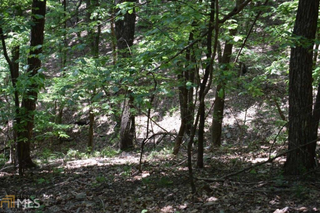 4522 Sassafras Mountain Trl, Jasper, GA 30143 Trulia