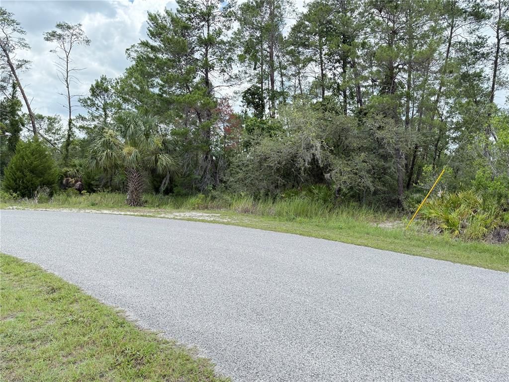 Bahama Swallow Ave 6 Brooksville - 08c6f77450357ff2b738eaf308e23cb2 Full 