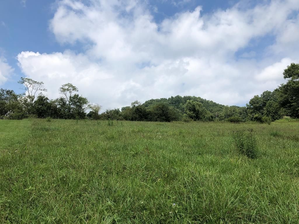 Snow Creek Rd, Bakersville, NC 28705 - Lot/Land - MLS# 32328 - 24