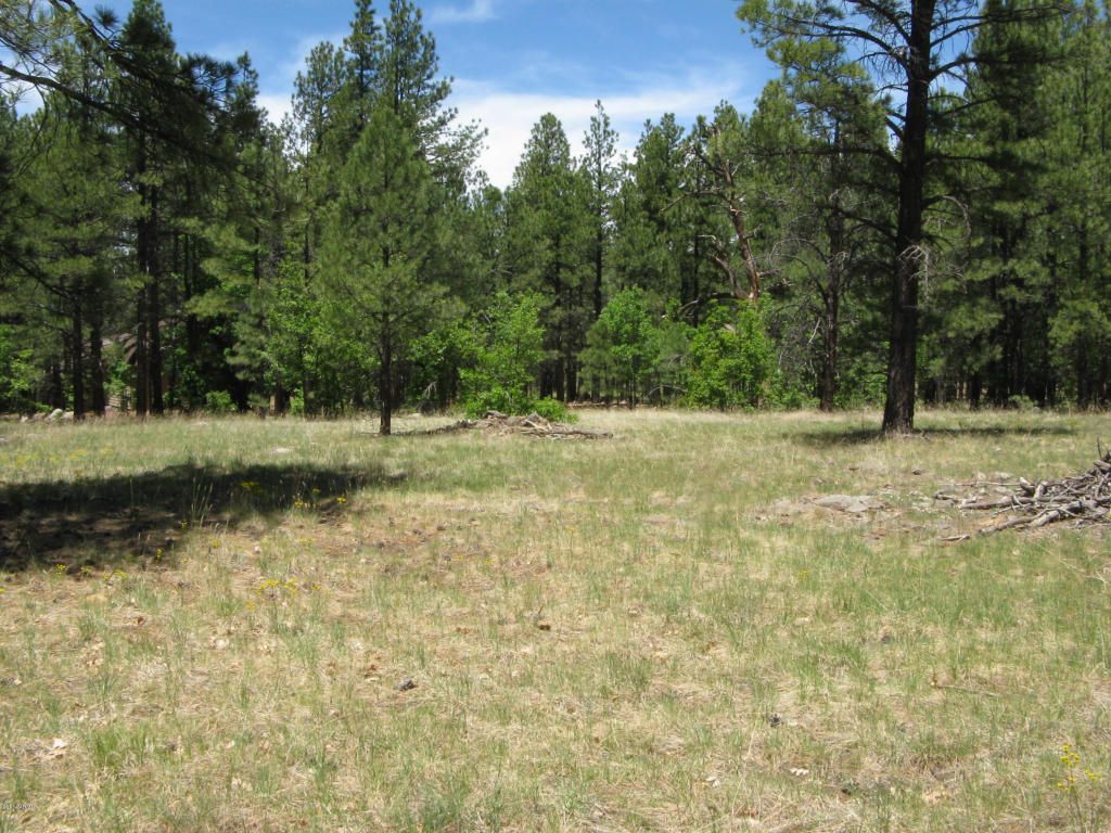77 Blue Ridge Rd, Mormon Lake, AZ 86038 Trulia
