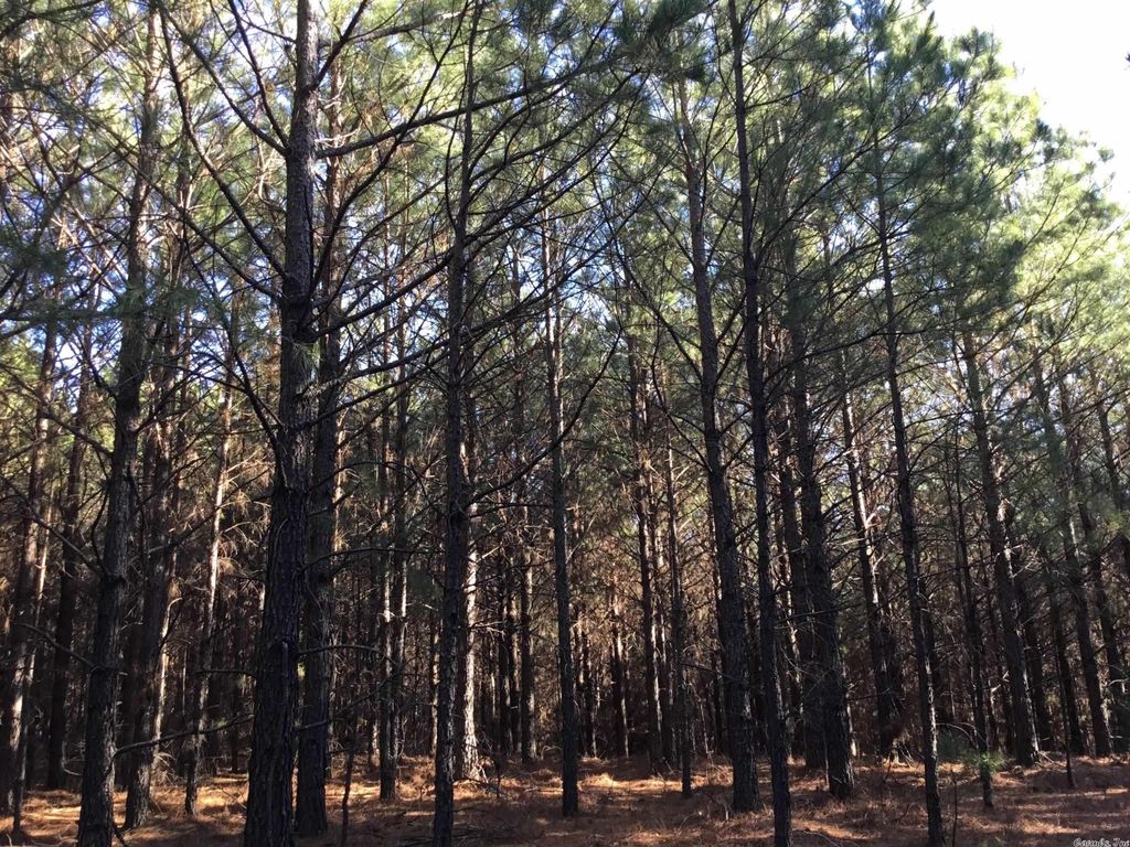 Wye Mountain, Bigelow, AR 72016 MLS 22020909 Trulia