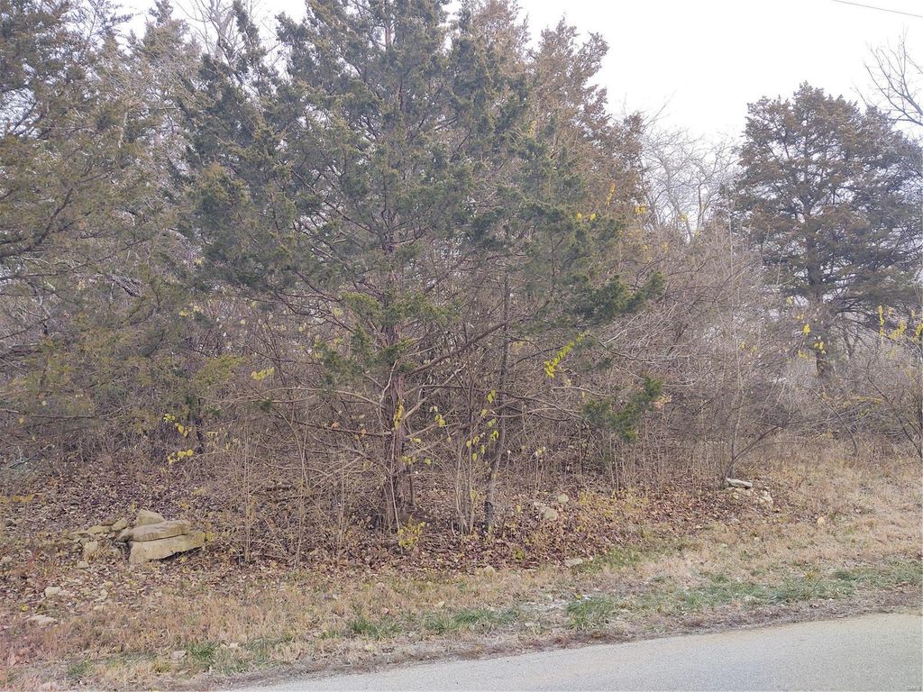 Lot  38 Fernwood, House Springs, MO 63051