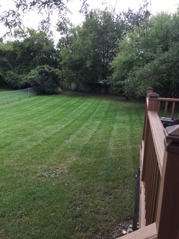 homes for rent in bloomingdale il