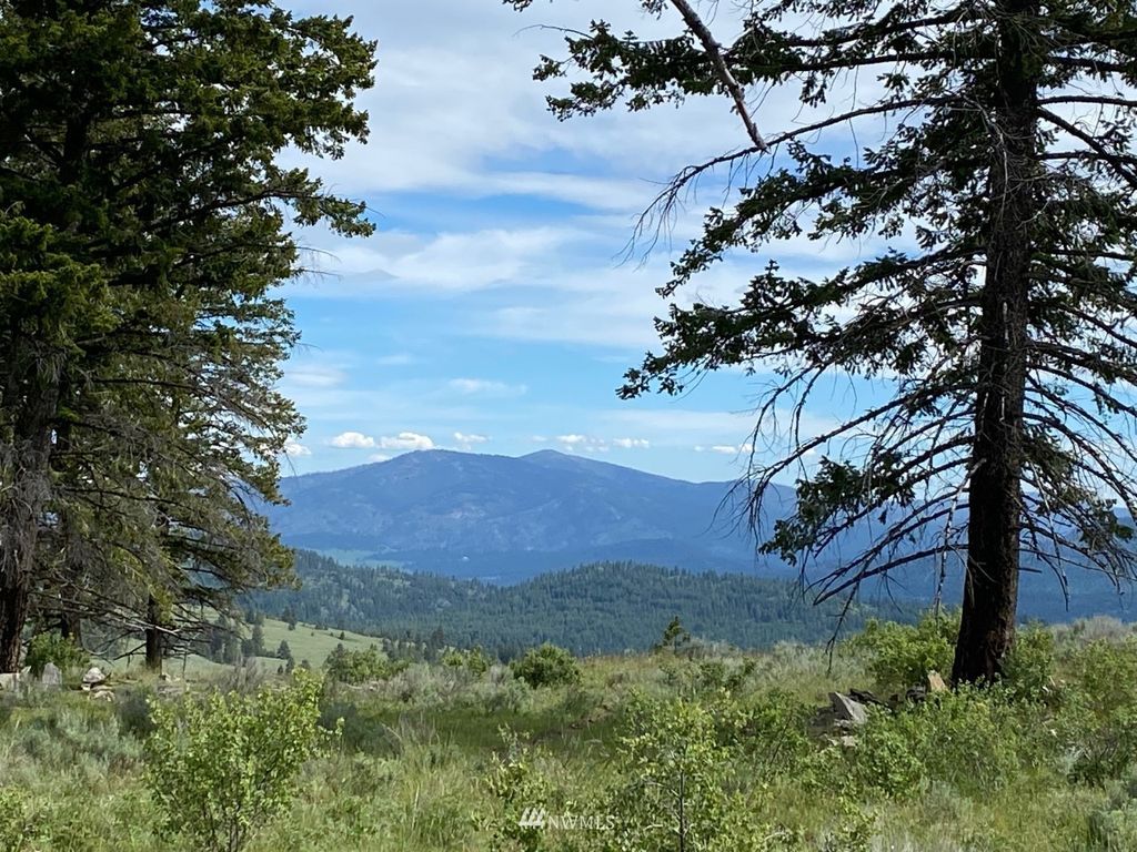 38 One Sky View Drive, Tonasket, WA 98855 Trulia