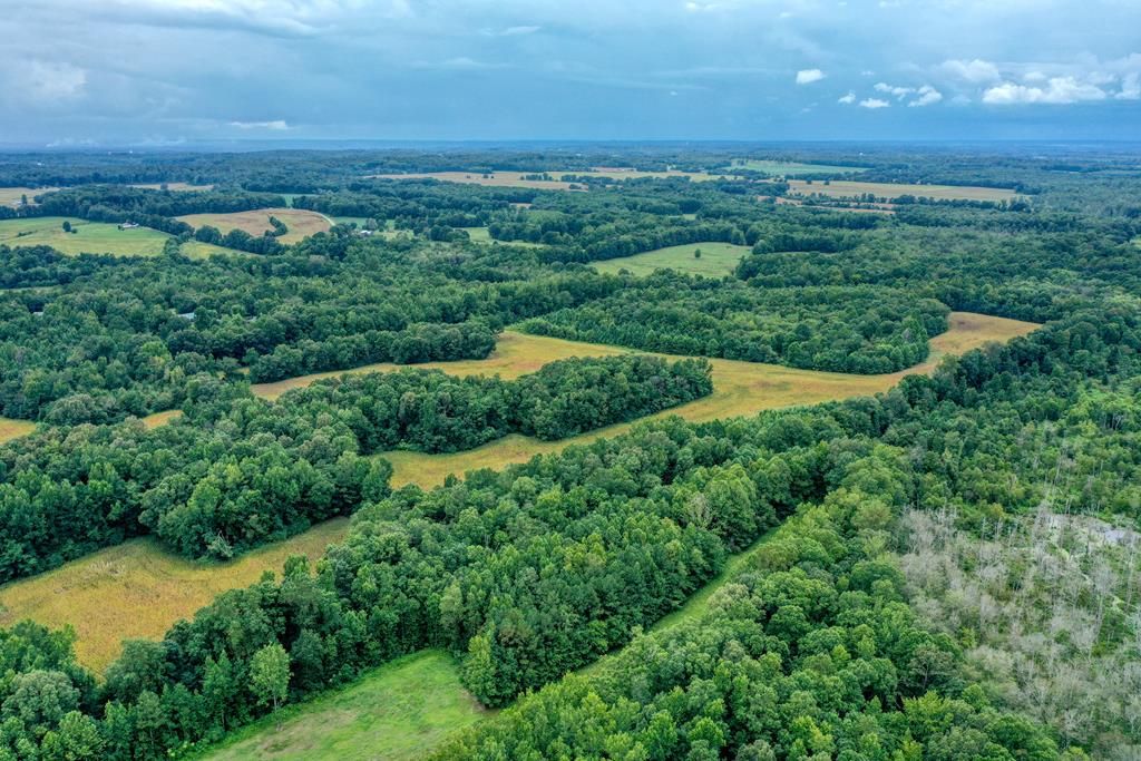 Driftwood Ln, Huntingdon, TN 38344 Trulia