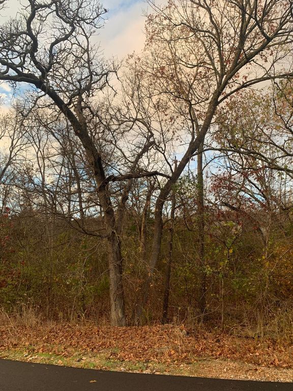 Homewood Ln, Kimberling City, MO 65686 - Lot/Land - MLS# 60178109 - 4