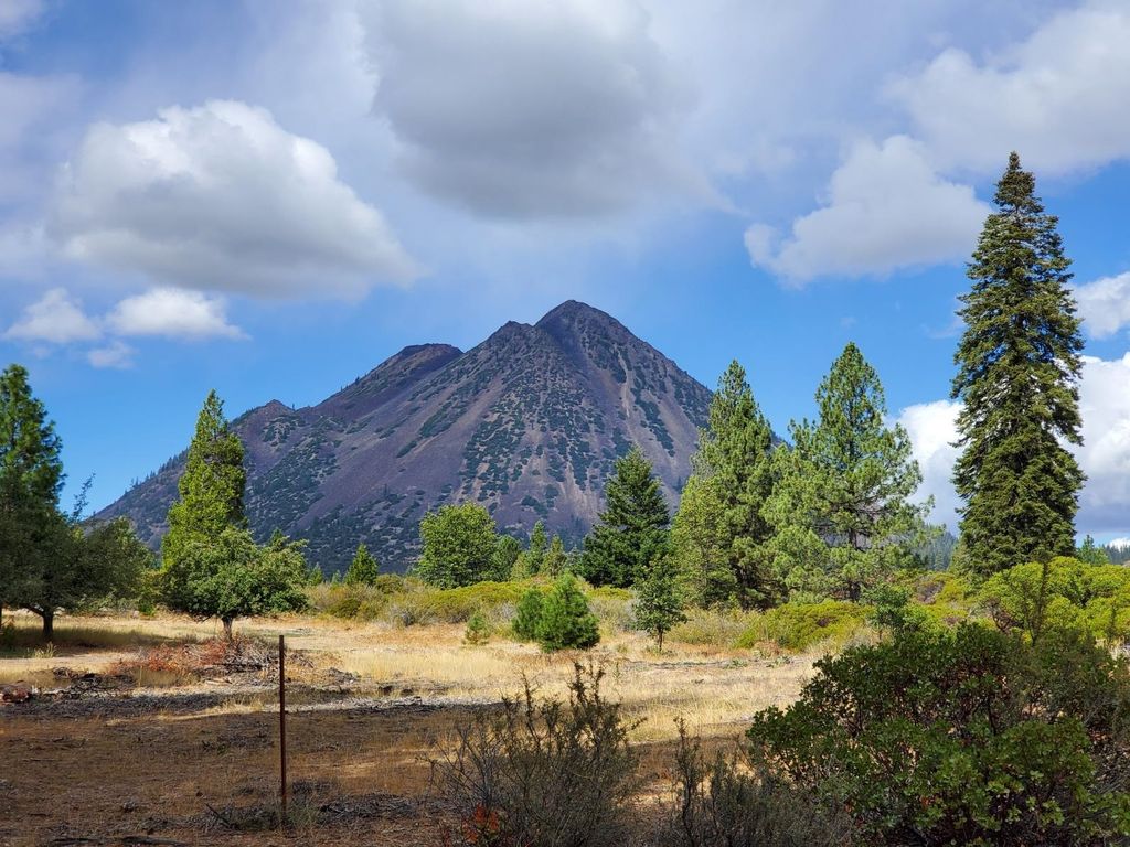 Pine Grove Dr, Mount Shasta, CA 96067 MLS 20221186 Trulia