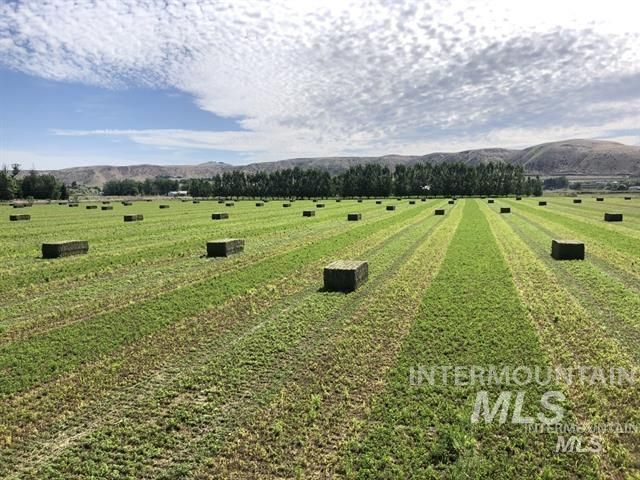 Highway 95, Payette, ID 83661