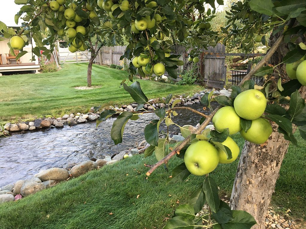 482 2nd Ave, Chester, CA 96020 Trulia