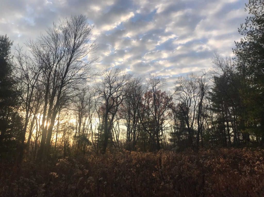 5 Krag Ct, Pine Ridge, KY 41360 Trulia