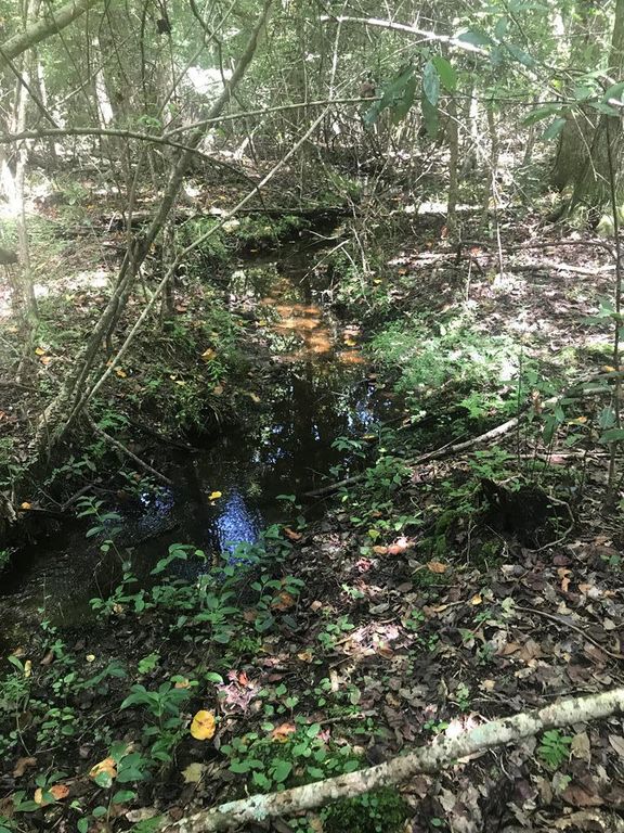 Center Hill Rd, Saint Matthews, SC 29135 Trulia