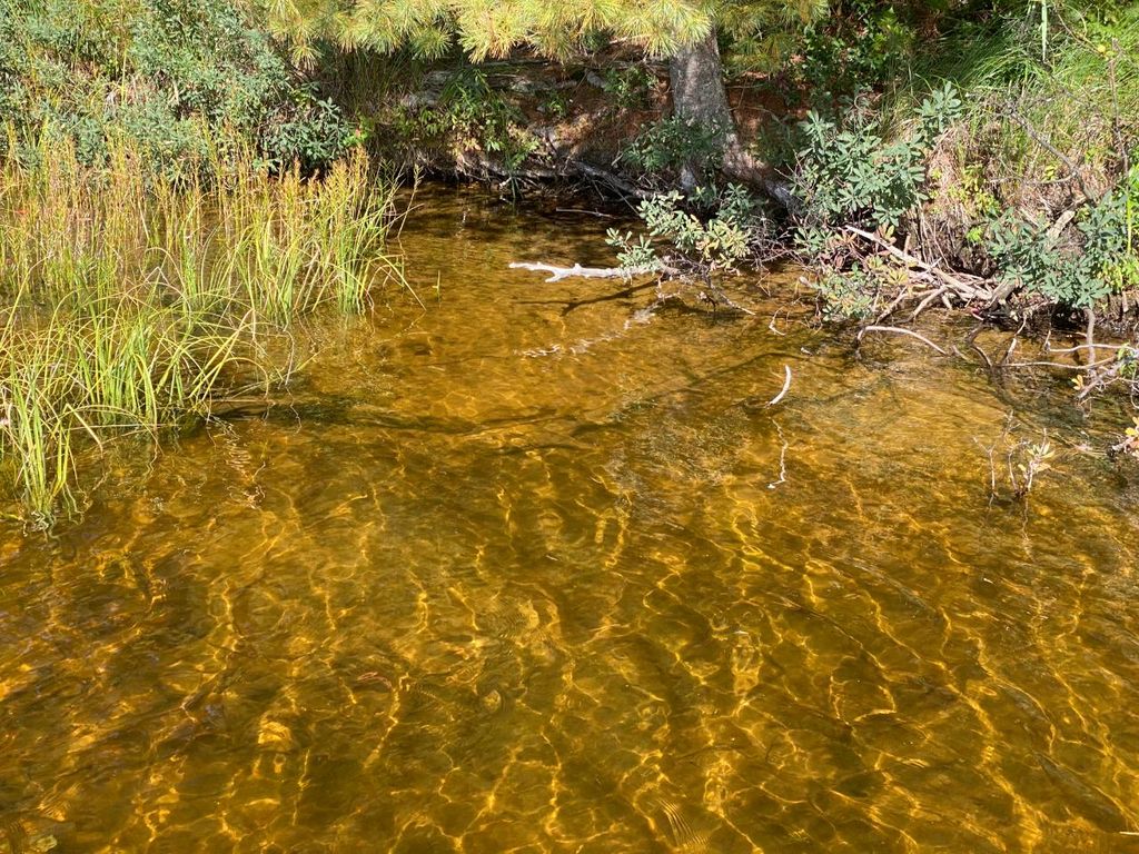 Annabelle Lake Rd 22397, Presque Isle, WI 54557 MLS 199073 Trulia