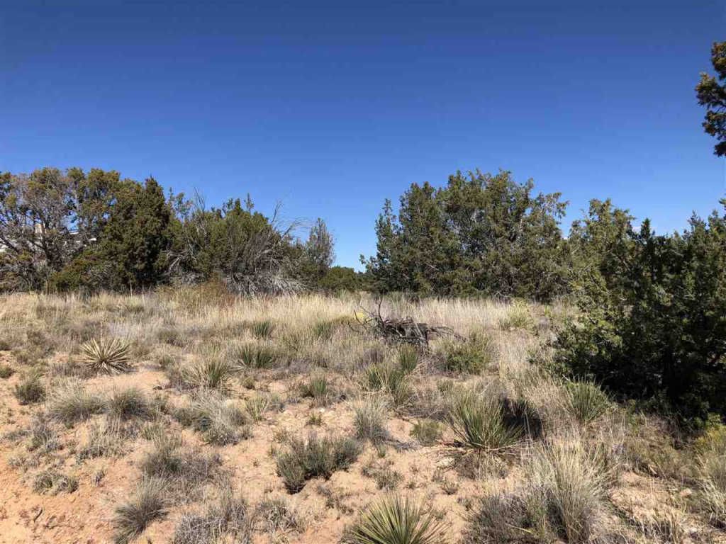 77 Sunrise Rd, Santa Fe, NM 87507 Trulia