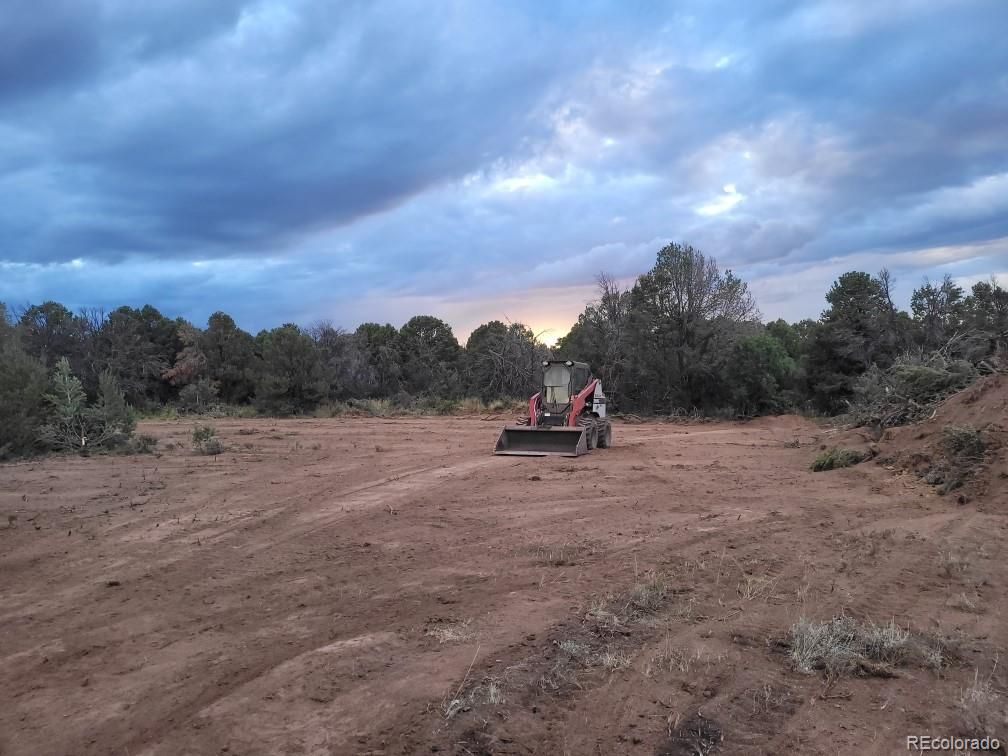 909 Dave Wood, Montrose, CO 81403 Trulia