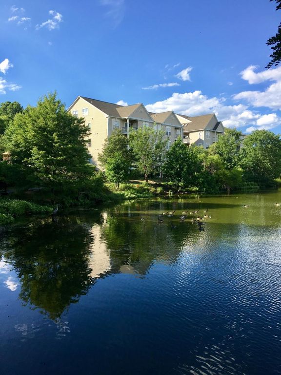 6579 Grange Ln 404, Alexandria, VA 22315 Trulia