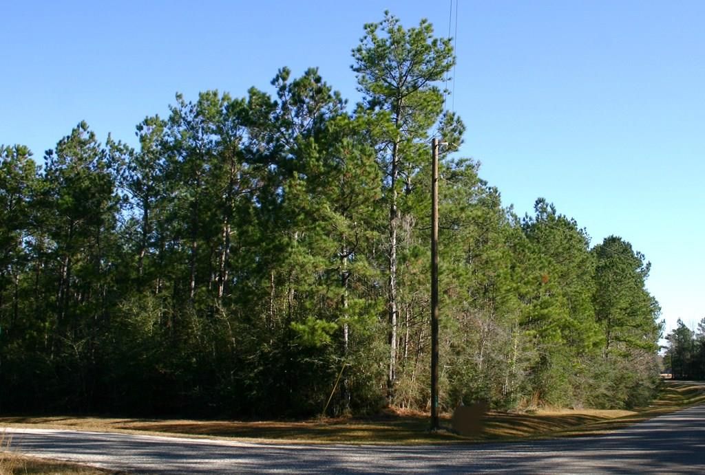 Anchor Lake Rd 16, Carriere, MS 39426 Trulia