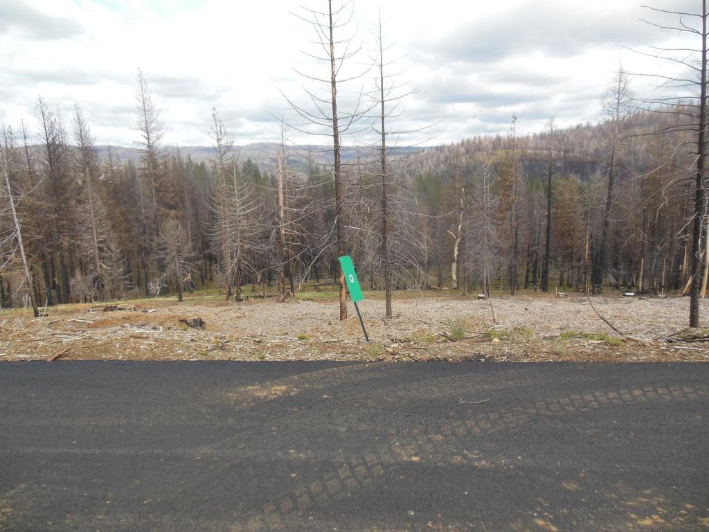 Mount Pleasant Dr, Grizzly Flats, CA 95636 Trulia