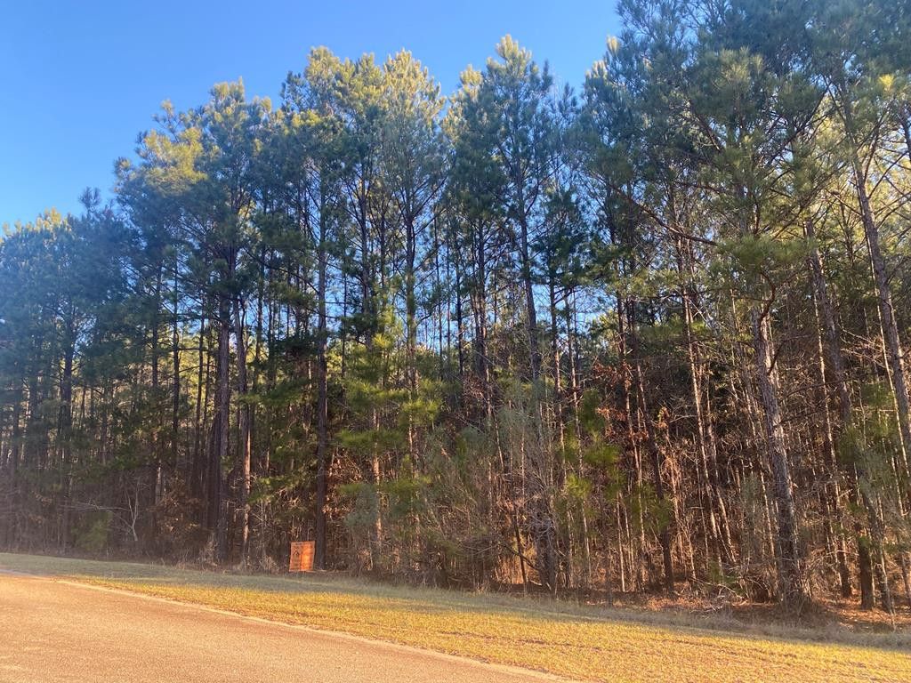 1078 Clint Williams Rd, Lincolnton, GA 30817 Trulia