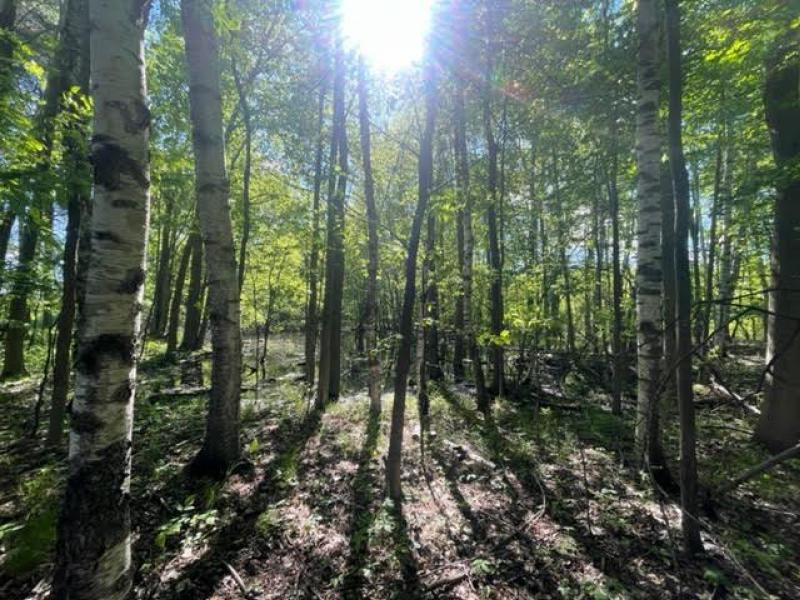 1, Ubly, MI 48475 Trulia