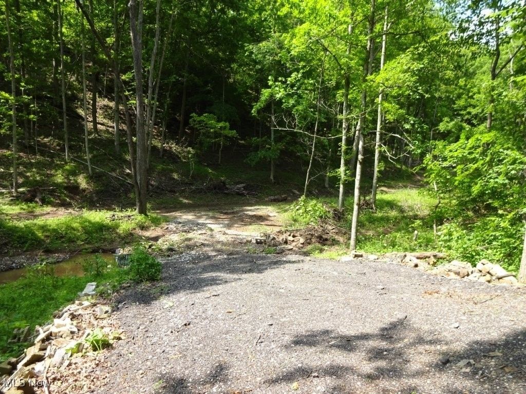 2366 Seaman Frk, Le Roy, WV 25252