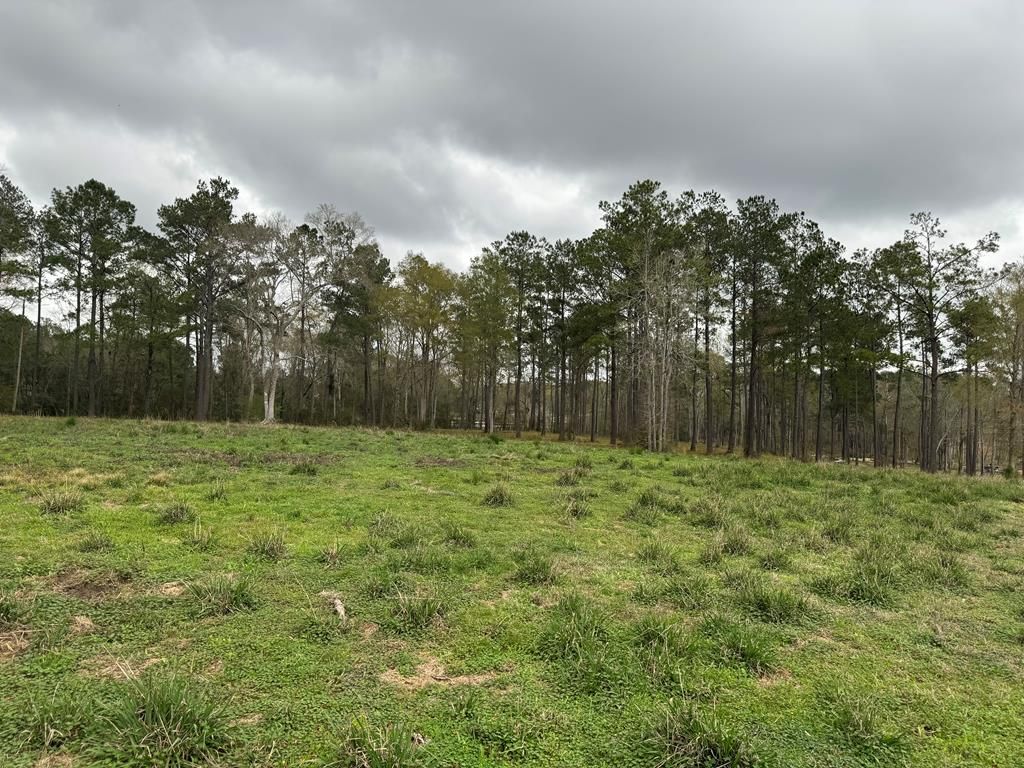 Nhn Rock Ranch Rd, Carriere, MS 39426