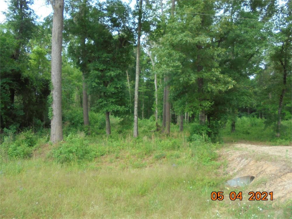 29 Bulloch Rd, Ochlocknee, GA 31773 Trulia