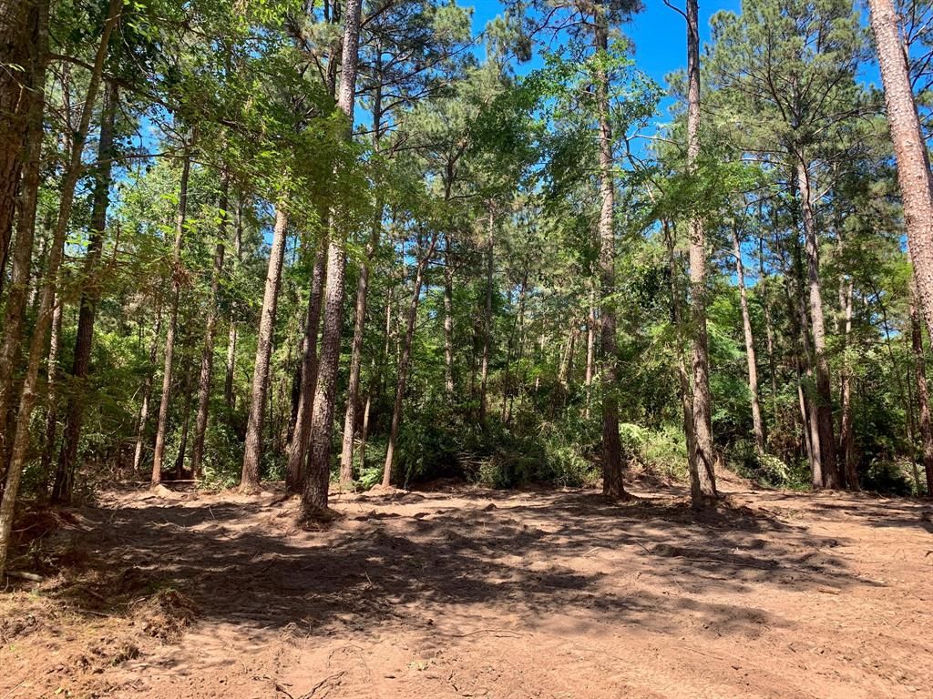 6027 County Road 207A, Plantersville, TX 77363 Trulia