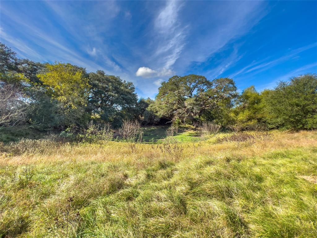 Eckermann Rd, New Ulm, TX 78950